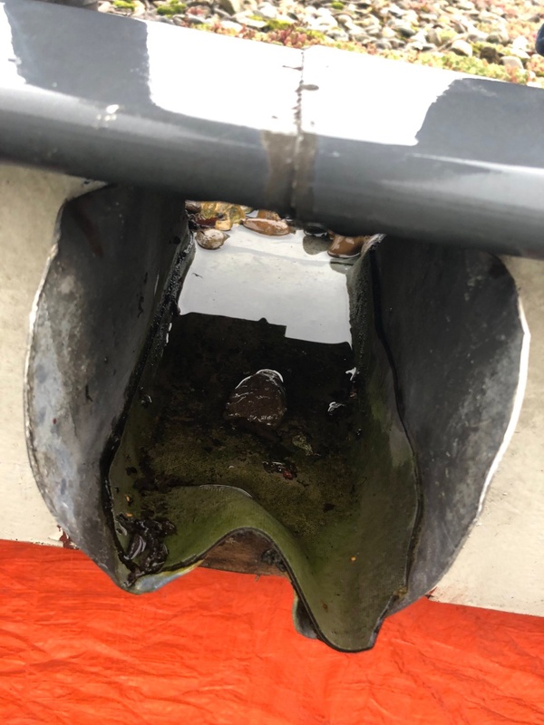 Afbeeldingslocatie: https://tweakers.net/i/DVASTa6lhoG6pIVMKxCDKcNTVBc=/x800/filters:strip_icc():strip_exif()/f/image/4FTIEVtcszcX1XWFNpE04M2F.jpg?f=fotoalbum_large