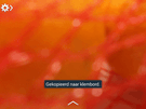 Screenshot Samsung Galaxy S III Neo (voor sub-200 euro shootout)