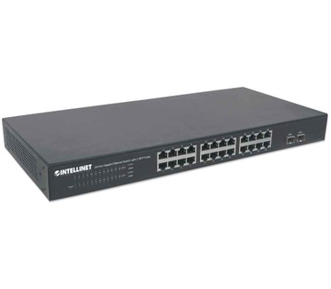 Intellinet 561044