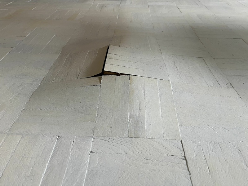 Afbeeldingslocatie: https://tweakers.net/i/DZ89e837EhCwkJ9Sxz2QGRsy8go=/800x/filters:strip_icc():strip_exif()/f/image/uC25Livg46SSEZMH9hcomHIk.jpg?f=fotoalbum_large