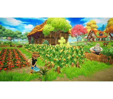 Everdream Valley