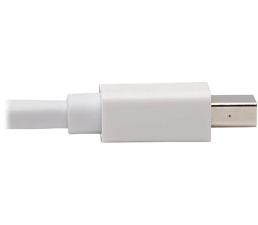 Tripp-Lite P137-06N-HDR-W
