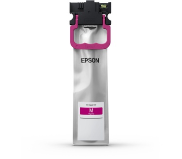 Epson T01C300