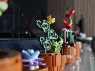 Cameratest Xiaomi 17 Ultra - 2x zoom