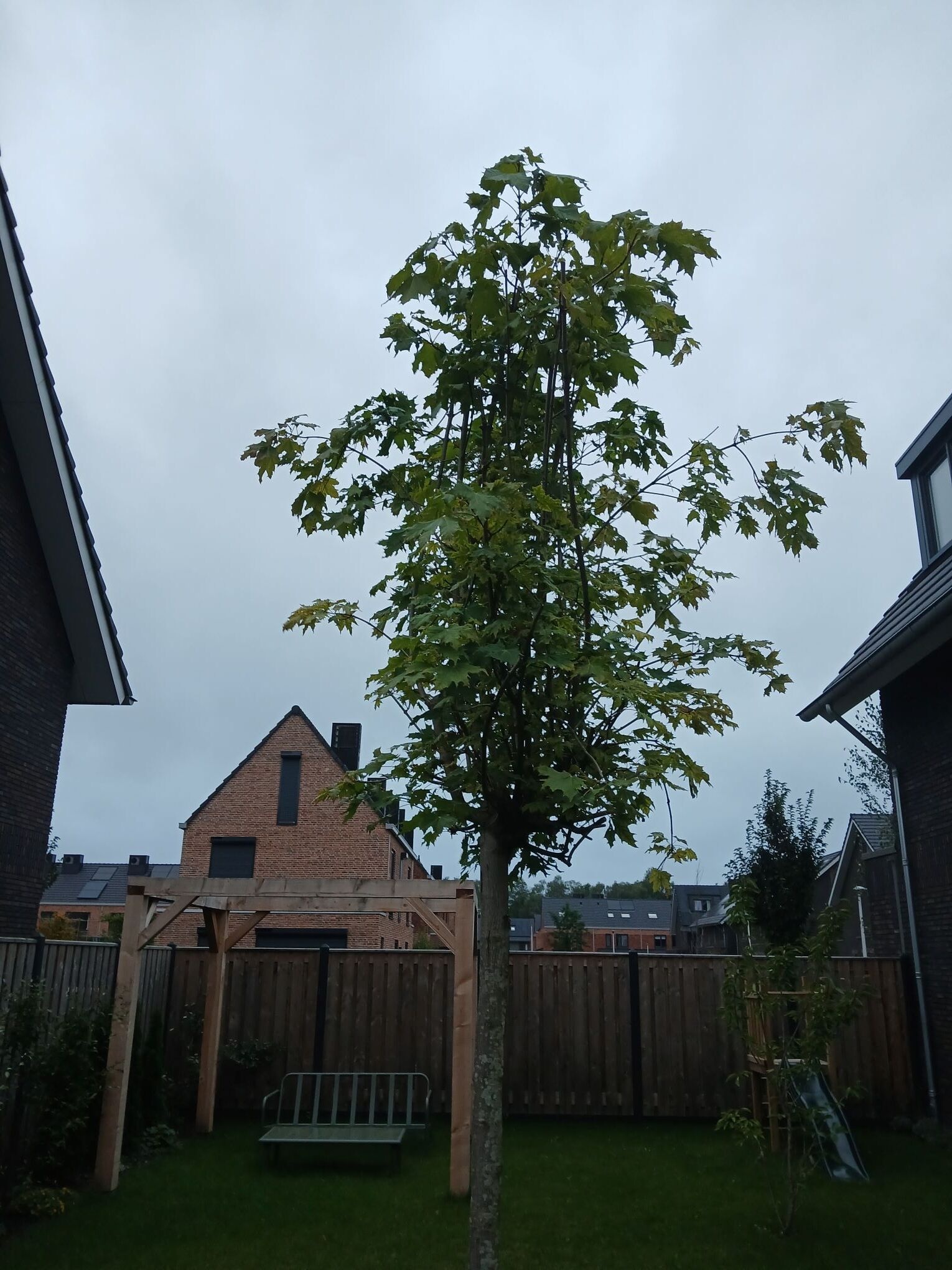 Afbeeldingslocatie: https://tweakers.net/i/Dce2WyNVaCkOKv7wfosPABQPOQc=/fit-in/4920x3264/filters:max_bytes(3145728):no_upscale():strip_icc():strip_exif()/f/image/xIOCkBB2NZ6d5dlscqCqG7XA.jpg?f=user_large