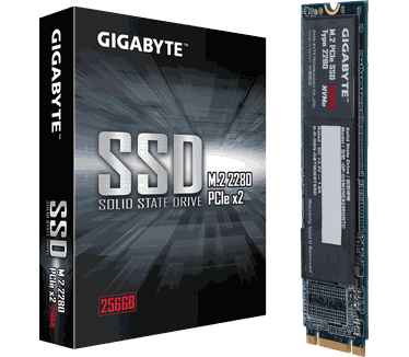 Gigabyte M.2 PCIe SSD 256GB 256GB