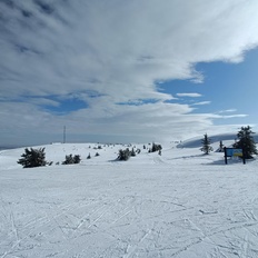 Afbeeldingslocatie: https://tweakers.net/i/De7ZenYNrrTMa43R3lu45Kcgsbo=/232x232/filters:strip_icc():strip_exif()/f/image/lZlOWAr3jpcXk8apcSm1O2Zs.jpg?f=fotoalbum_tile