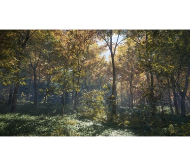 theHunter: Call of the Wild, PS4