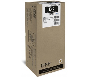Epson T9731