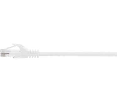 Renkforce RF-5043778