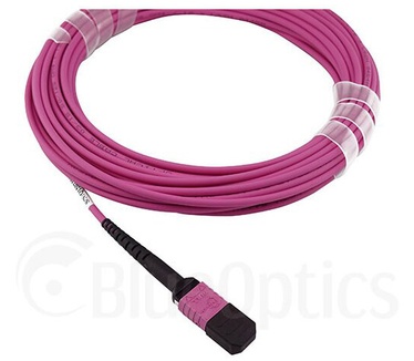 BlueOptics EMC CBL-MPO12-4LC-OM4-7M