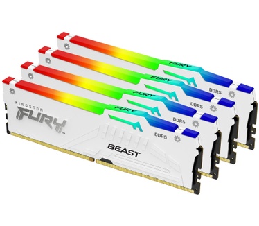 Kingston Beast White RGB XMP