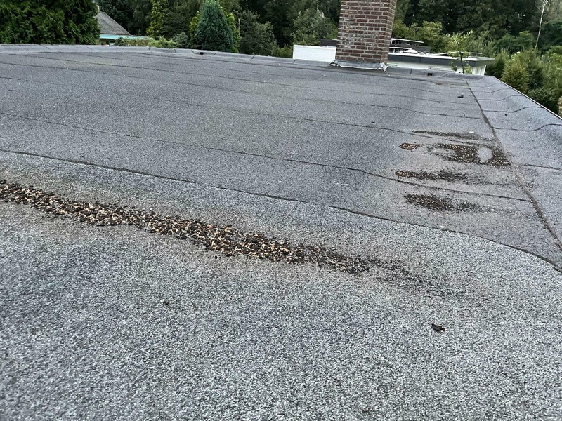 Afbeeldingslocatie: https://tweakers.net/i/DmYnXXZ3uOSNB3MqrcEXUTvSMCc=/800x/filters:strip_icc():strip_exif()/f/image/Vt2b3jONKCSLOLq75iDRoocO.jpg?f=fotoalbum_large