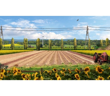 Whisper Ari, The Bold Rider