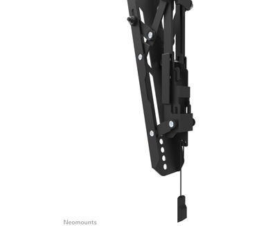 Neomounts by Newstar Neomounts by Newstar Select tv wandsteun