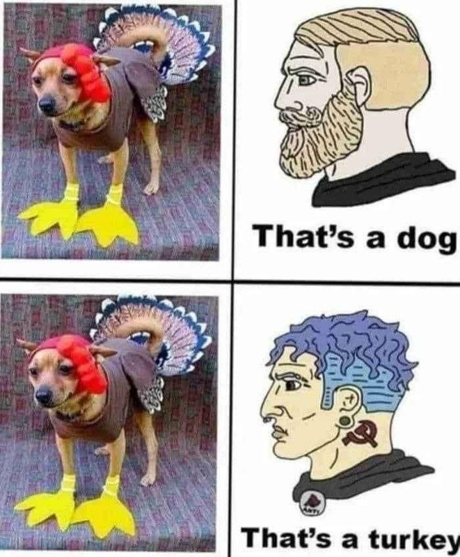 Afbeeldingslocatie: https://tweakers.net/i/Drv0UTdu3ZM1KHeMQp2B1C5ZhT8=/x800/filters:strip_icc():strip_exif()/f/image/x1sTj7AyVc0fPFSbK7iapBTR.jpg?f=fotoalbum_large