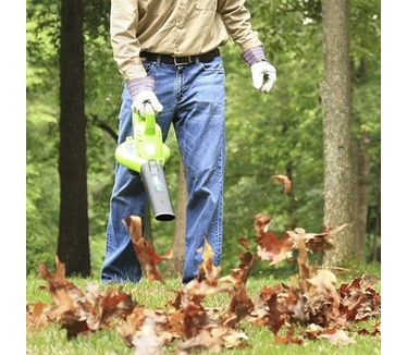Greenworks GD40BV
