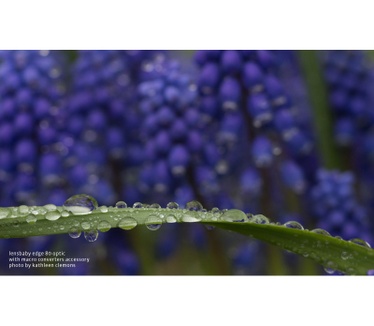 Lensbaby LBMC