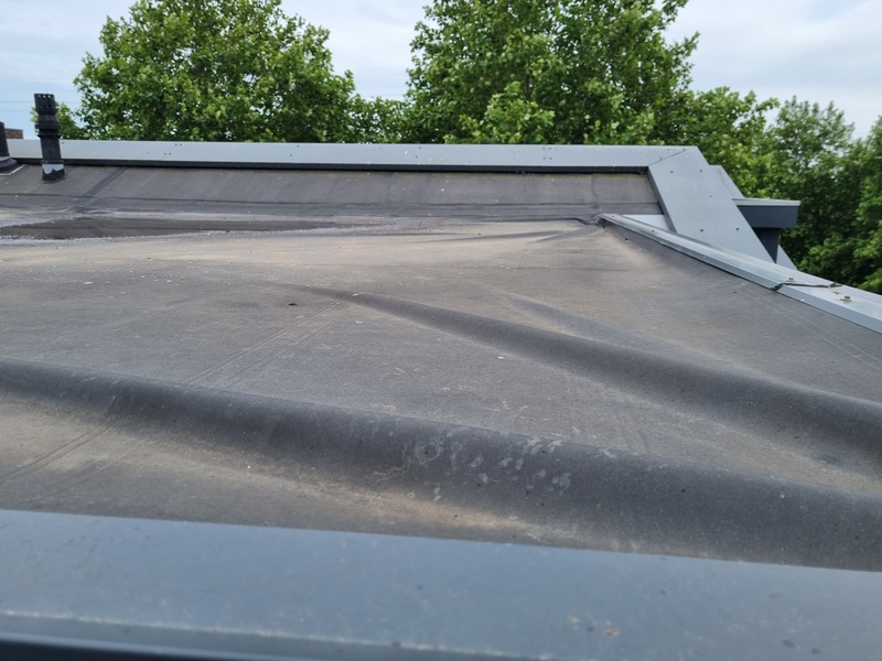 Afbeeldingslocatie: https://tweakers.net/i/Dt5wuTklQg4ft8JAZEcXcAKIfd8=/800x/filters:strip_icc():strip_exif()/f/image/UFoBt2vZBEa11npYzigxsx4f.jpg?f=fotoalbum_large