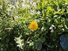 Camerasamples Xiaomi Pad 8 en Pad 8 Pro