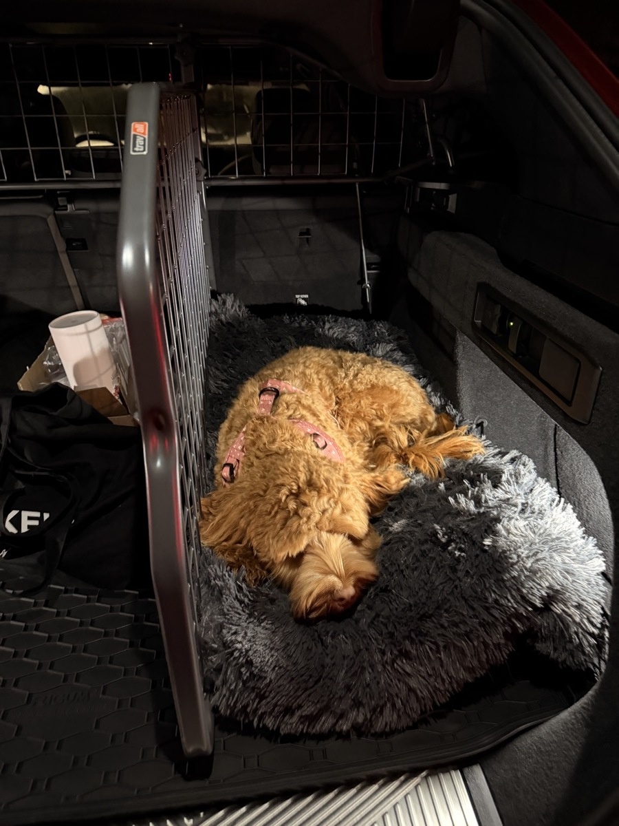 Afbeeldingslocatie: https://tweakers.net/i/Dvf5wSk6VfEB_zkgP-J7ldFFe_4=/fit-in/4920x3264/filters:max_bytes(3145728):no_upscale():strip_icc():strip_exif()/f/image/L7H1txg8pdtIpoyS1jWyzTgZ.jpg?f=user_large