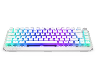 ENDORFY Thock 75%