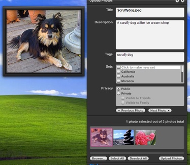 Konfabulator - Flickr Widget