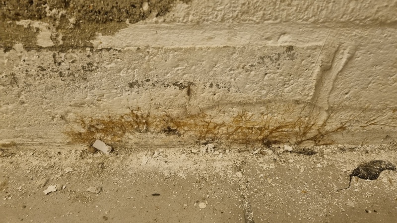 Afbeeldingslocatie: https://tweakers.net/i/DxwitXr_7pP_dXwjFNyXGR0icCU=/800x/filters:strip_icc():strip_exif()/f/image/mDOdAWFgZrfYZHSfsCH8NhTw.jpg?f=fotoalbum_large