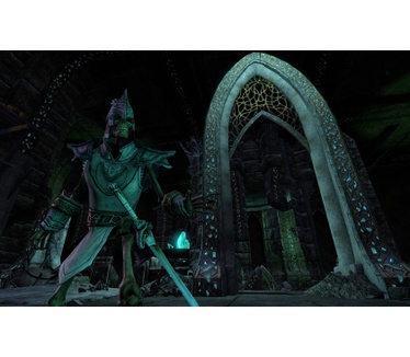 The Elder Scrolls Online Blackwood Collection, PS4