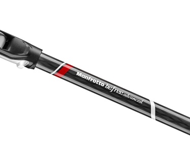 Manfrotto Befree GT (carbon) + Ball Head