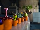 Nabewerkte rawfoto's in weinig licht - extended