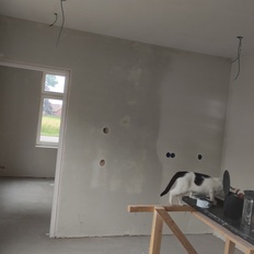 Afbeeldingslocatie: https://tweakers.net/i/E3ZUbFQcXGx5ZG3uQQmAGZPJ61w=/232x232/filters:strip_icc():strip_exif()/f/image/6GGCm7rpcudMBK89aY5cvEiD.jpg?f=fotoalbum_tile