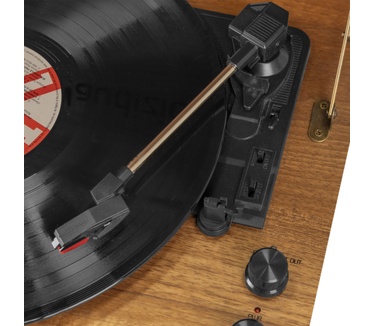 Audizio Fremont