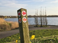 Xiaomi 17 Cameratest - Twee keer zoom