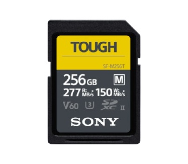 Sony SF-M 256GB