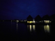 Blauwe uurtje