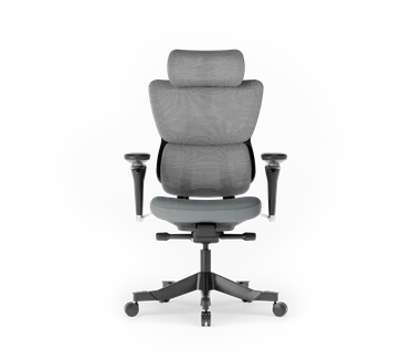 FlexiSpot Ergonomische bureaustoel C7 Max, geen voetensteun, Grijs frame