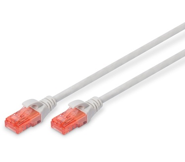 Digitus DK-1617-100-5