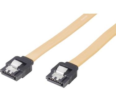 Renkforce RF-4308231