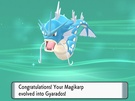 Pokemon Shining Pearl (handheld)