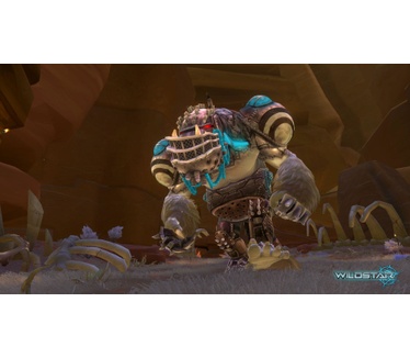 WildStar, PC