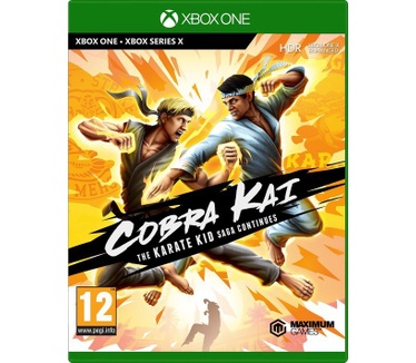 Cobra Kai: The Karate Kid Saga Continues