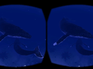VR software