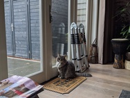 Pixel 4 camerasamples zoom 2