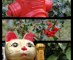 OPPO Reno15 - Collages maken