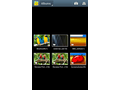 Samsung Galaxy Note Jelly Bean-update