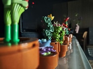 Cameratest - Primair