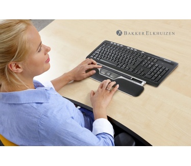 BakkerElkhuizen ErgoSlider Plus Central Mouse