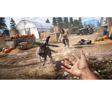 Far Cry 5, PS4