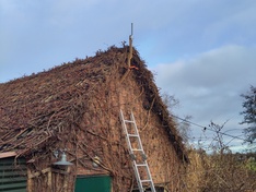 Afbeeldingslocatie: https://tweakers.net/i/EeDfmdVOa1iXVNWwUa1Yri8mqkk=/234x176/filters:strip_icc():strip_exif()/f/image/B5cF56Ahm1LOXRcyHYC4I5IG.jpg?f=fotoalbum_medium